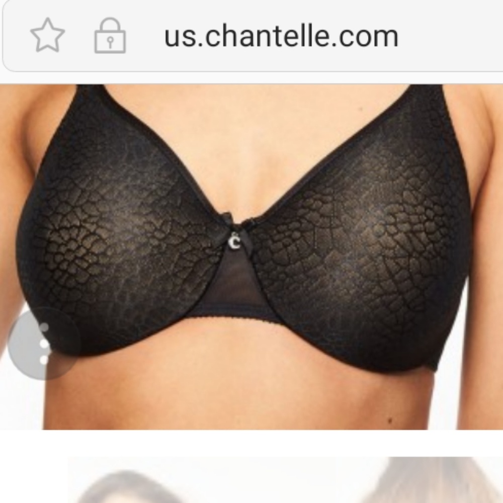Chantelle 34DDDD underwire bras